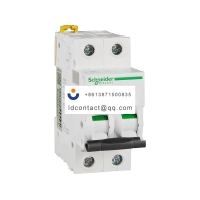 A9F18250 Schneider IC65 miniature c