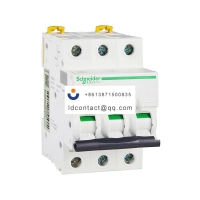 A9F19301 Schneider IC65 miniature c