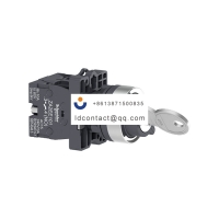 XA2EG21 Schneider XA2 key switch