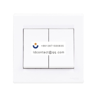 EV52 Schneider Ruyi panel switch 10