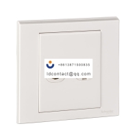 EV52TVRJ5 Schneider Ruyi panel sock