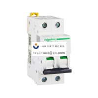 A9F38206 Schneider IC65 miniature c