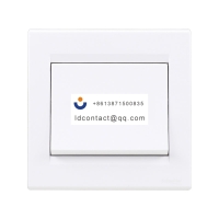 EV51 Schneider Ruyi panel switch si