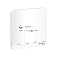 E8333L1_WE_C1 Schneider Yishang pan