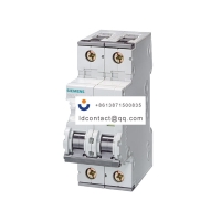 5SY6 2P C10_5SY6 Miniature Circuit 