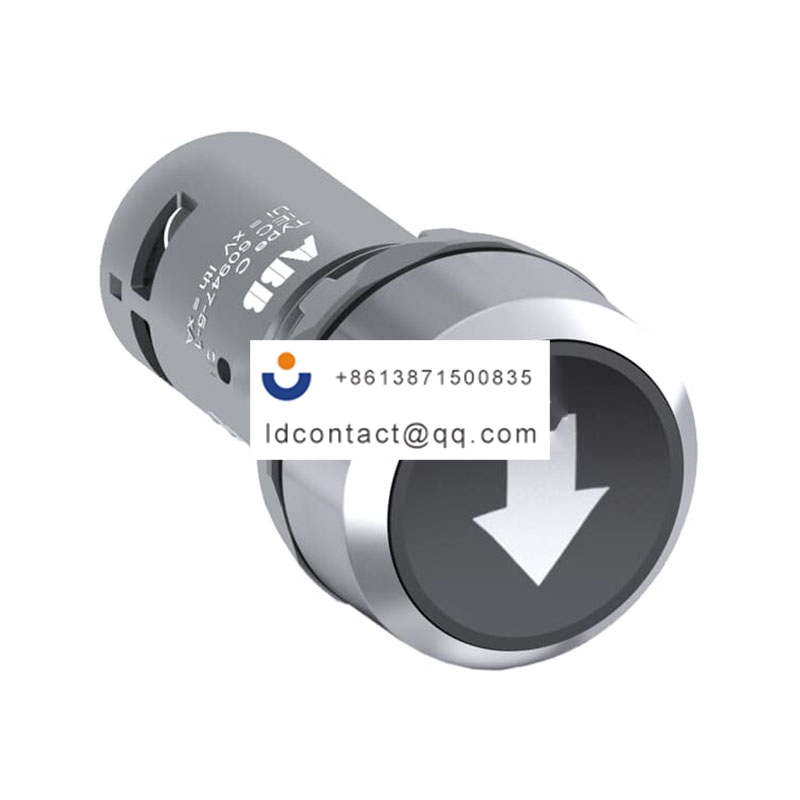 CP9-1051 (CP9-1020 with metal bezel) ABB product image