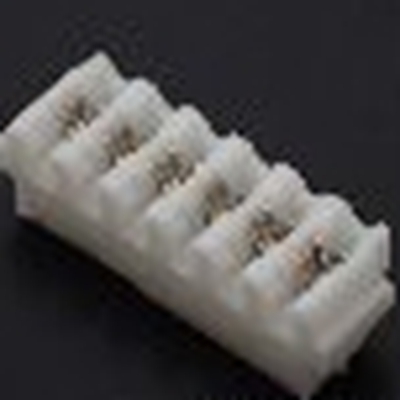 06DR-N-E6S-P (P) JST product image