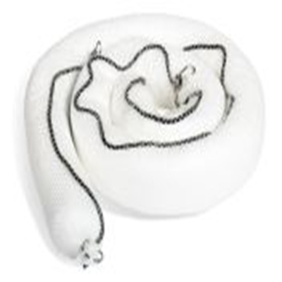 193-8434 RS Pro product image