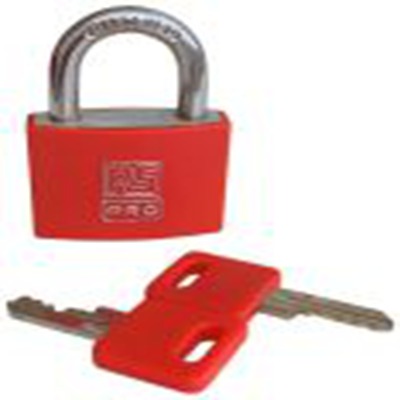 195-8230 RS Pro product image