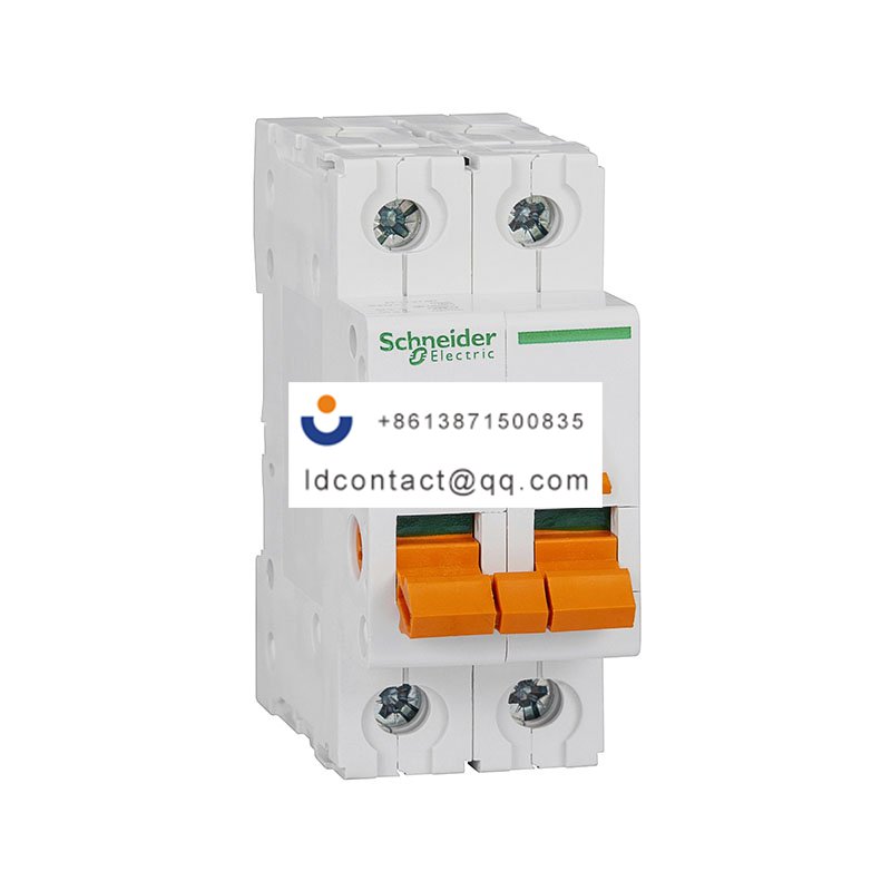 EA9D-INT125 32A/2P Schneider product image