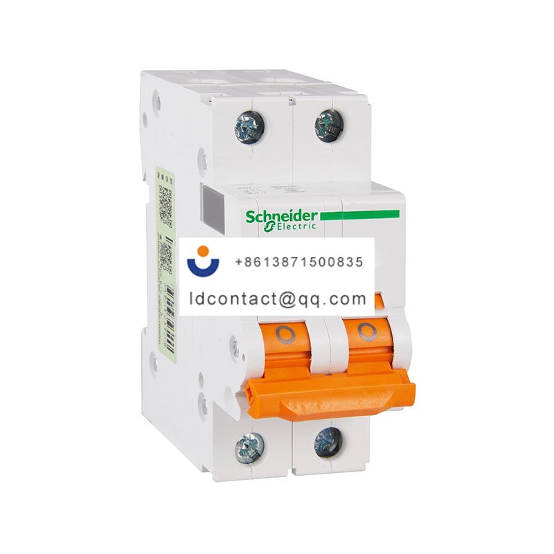 EA9AN 2P C6A Schneider product image