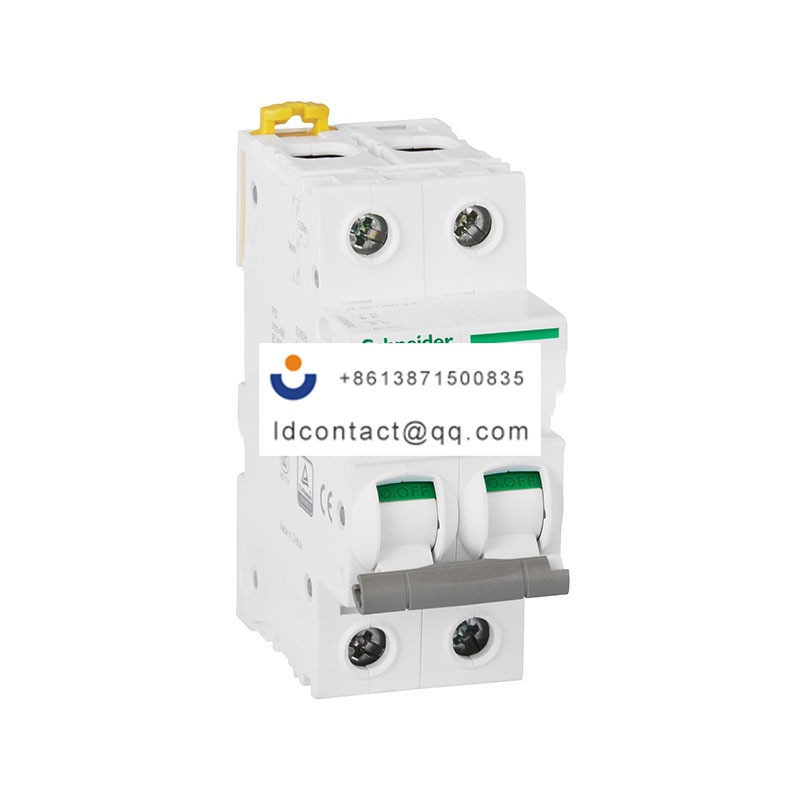 IINT125 125A 2P Schneider product image