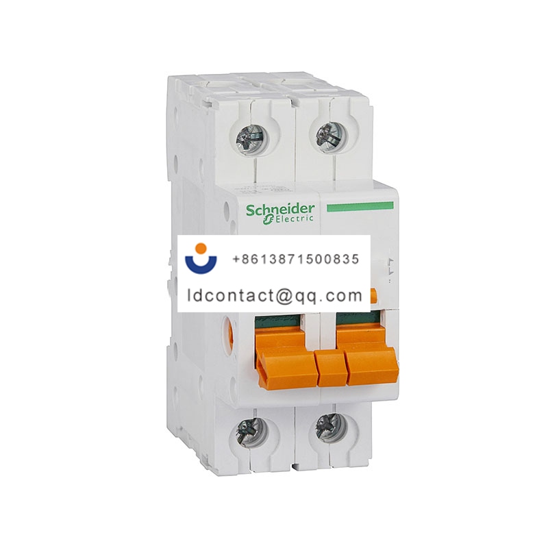 EA9D-INT125 63A/2P Schneider product image