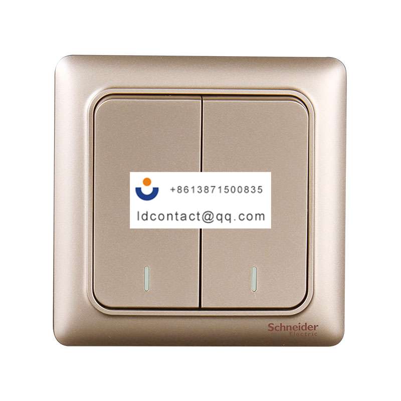 10AX 250V 两开单控_金色 Schneider product image