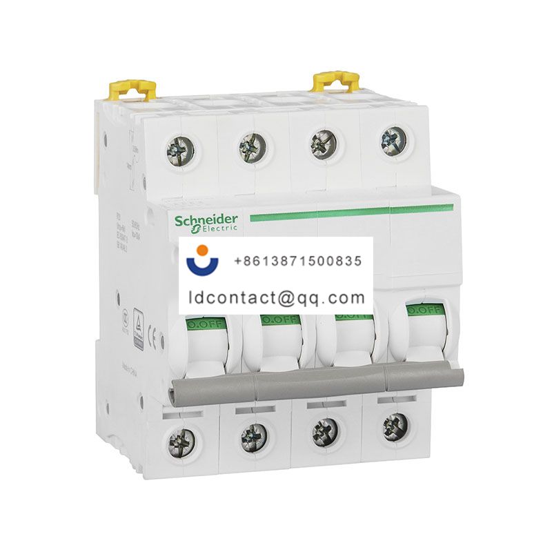 IINT125 100A 4P Schneider product image