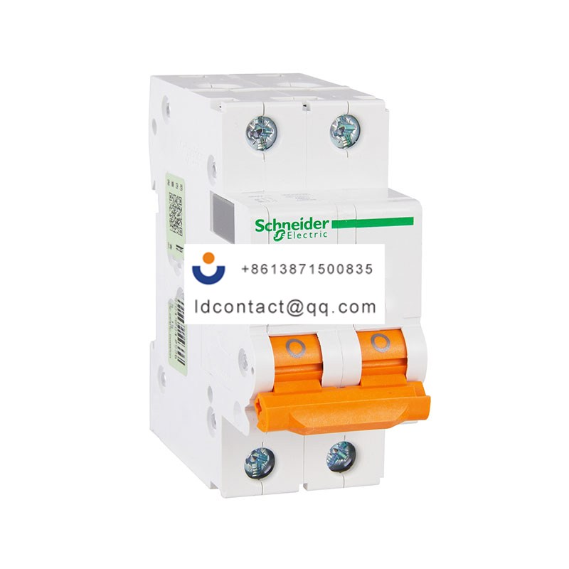 EA9AN 2P D32A Schneider product image