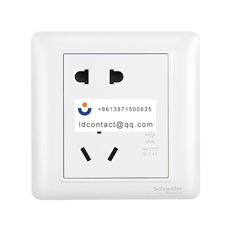 10A 250V 二/三极插座带一位2.1AUSB Schneider product image