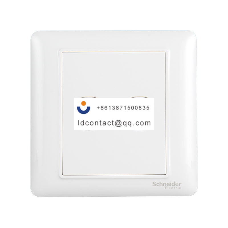双联信息插座 Schneider product image