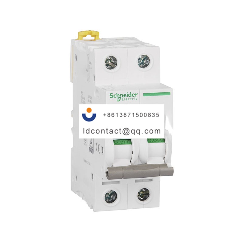 IINT125 63A 2P Schneider product image