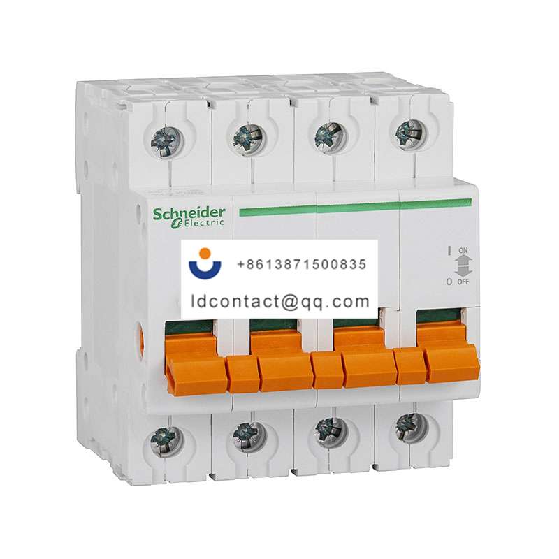 EA9D-INT125 63A/4P Schneider product image