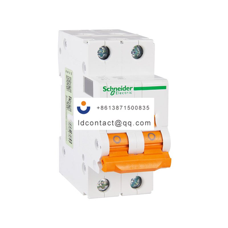 EA9AN 2P D16A Schneider product image