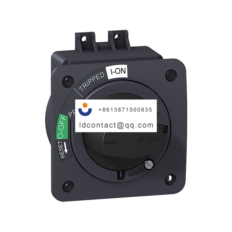 NSC60/100 直接旋转手柄 黑色 Schneider product image