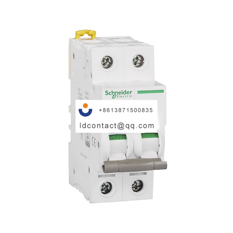 IINT125 80A 2P Schneider product image