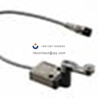 Omron  Limit Switches _D4C-3024-DK1