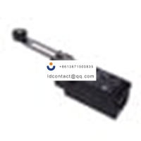 Omron  Limit Switches _D4N-2C2G_SWI