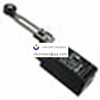 Omron  Limit Switches _D4N-2B2G_SWI