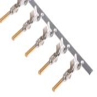 Automotive Electrical  171661-2_TE 