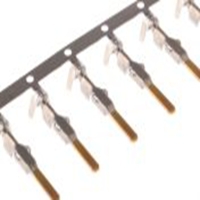 Automotive Electrical  171631-2_TE 