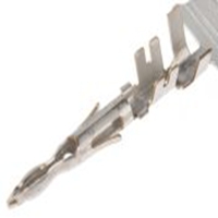 Automotive Electrical  12124587_Del