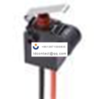 Omron Limit Switches _D2GW-SC6L3M_S