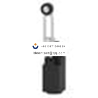 TE  Limit Switches _TLSTNS111PB_LS 