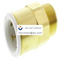 22MC(3/4)BRASS_John Guest Brass Pip