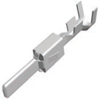 Automotive Electrical  2-962916-1_T