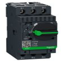 GV2P08_Schneider Electric servo mot